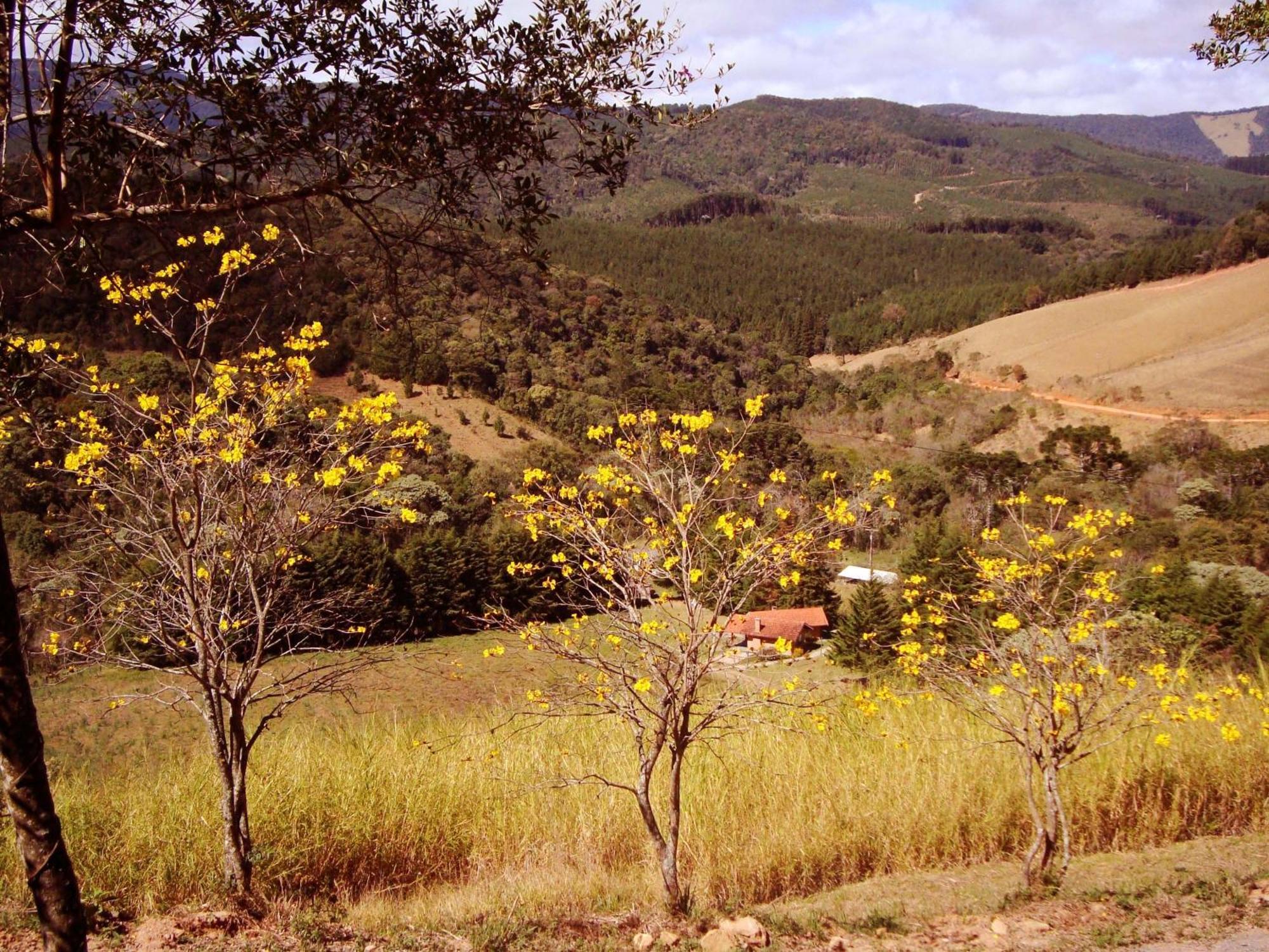 Chales Estrada De Chao مونتي فيردي المظهر الخارجي الصورة